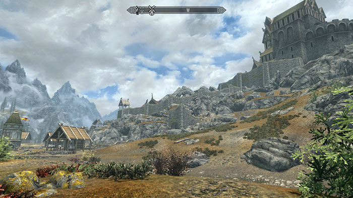 how to use flawless widescreen skyrim