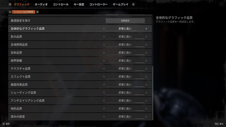 THE CUBE, SAVE USのグラフィックス設定