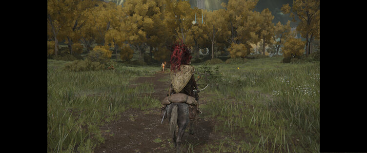 ウルトラワイド非対応