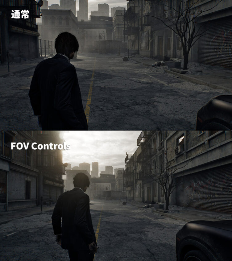 FOV Controls